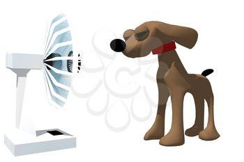 Fan Clipart