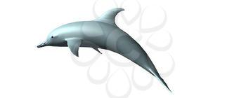 Dolphin Clipart