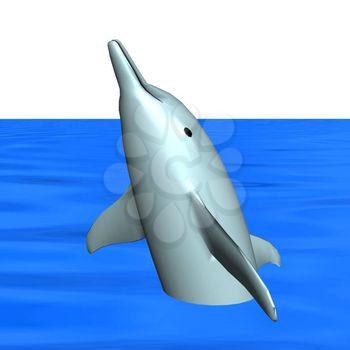 Porpoise Clipart