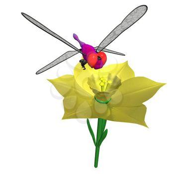 Dragonfly Clipart