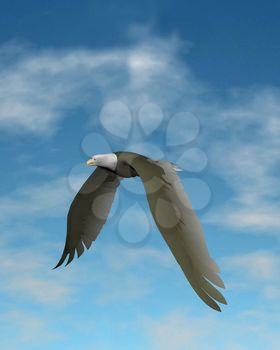 Soaring Clipart