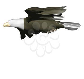 Soaring Clipart