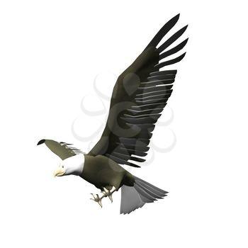 Avian Clipart