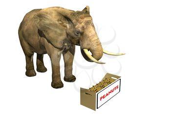 Pachyderm Clipart