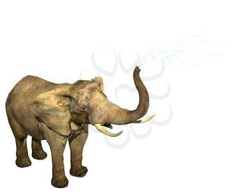 Elephant Clipart