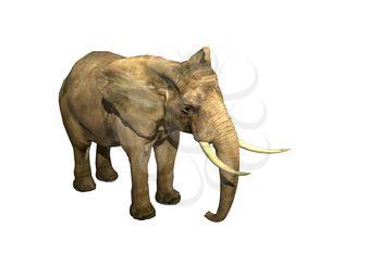 Pachyderm Clipart