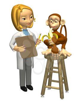 Primate Clipart