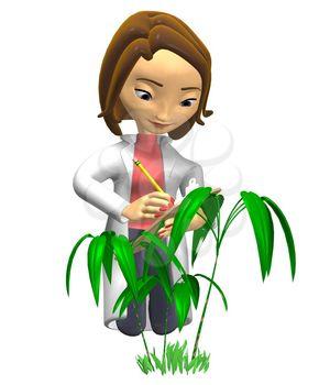 Botany Clipart