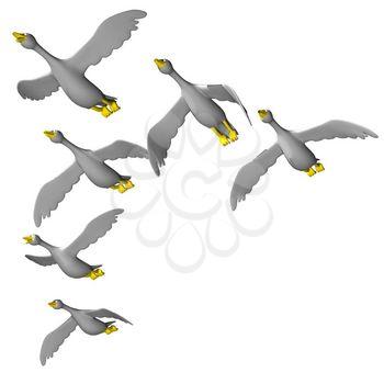 Flock Clipart