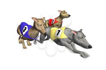 Greyhounds Clipart