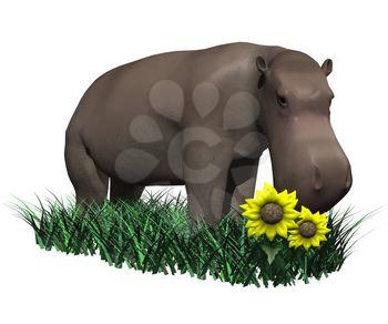 Hippopotamus Clipart