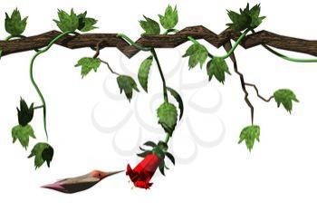 Branch Clipart