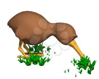 Flightless Clipart