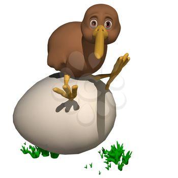 Avian Clipart