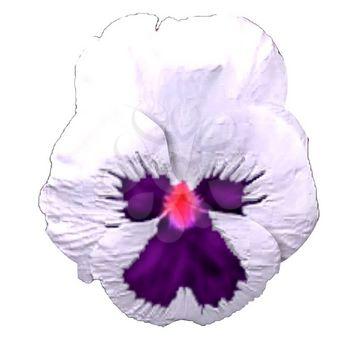 Flower Clipart