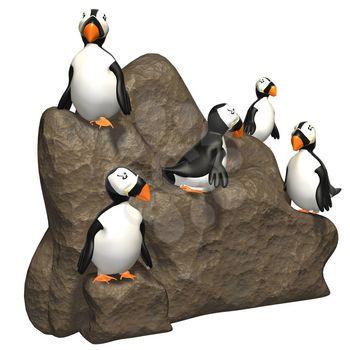 Puffins Clipart