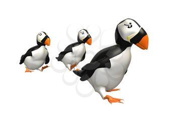 Puffins Clipart
