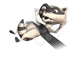 Racoon Clipart