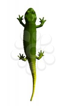 Reptile Clipart