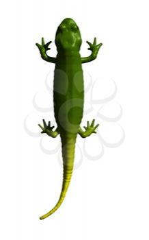 Reptile Clipart