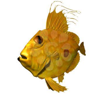 Fish Clipart