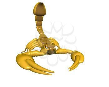 Scorpion Clipart