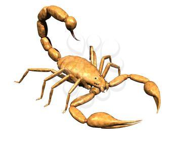 Scorpion Clipart