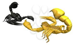 Scorpions Clipart