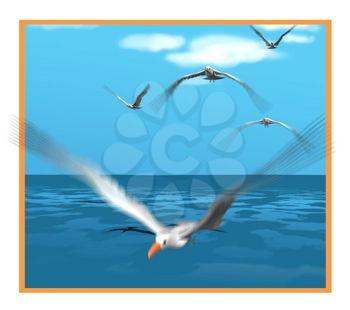 Gulls Clipart