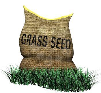 Grass Clipart