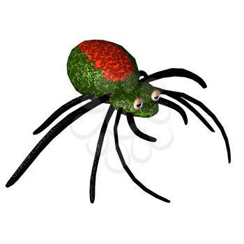 Spider Clipart