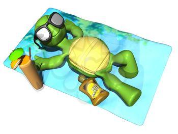 Turtle Clipart