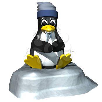 Penguin Clipart