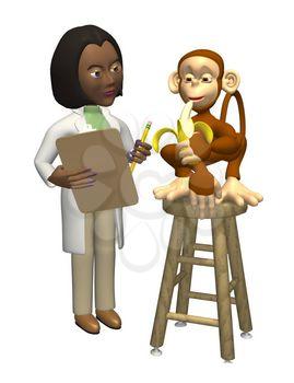 Primate Clipart