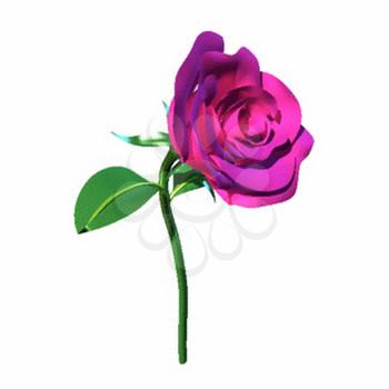 Rose Clipart