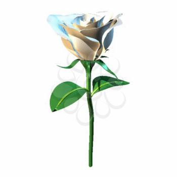 Rose Clipart