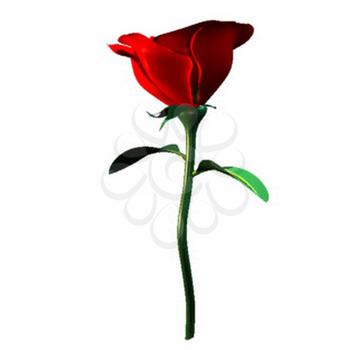 Rose Clipart