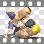 Mma fighters fighting