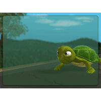 Turtle PowerPoint Background