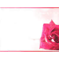 Rose PowerPoint Background
