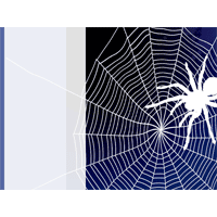 Spiderweb PowerPoint Background