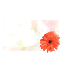 Daisy PowerPoint Background