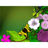 Flowers PowerPoint Background