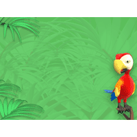 Parrot PowerPoint Background