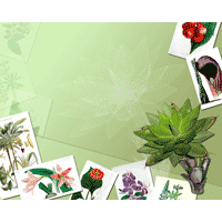Botany PowerPoint Background