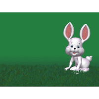 Rabbit PowerPoint Background