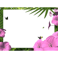Jungle PowerPoint Background