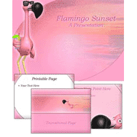 Flamingo PowerPoint Template