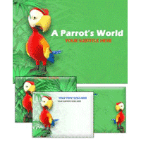 Parrot's PowerPoint Template