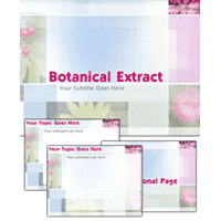 Pink PowerPoint Template